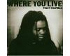 Tracy Chapman - Where You Live