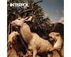 Interpol - Our Love To Admire