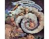 The Moody Blues - A Question Of Balance (vinyl)