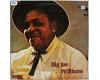 Big Joe Williams - Big Joe Williams (vinyl) Big Joe Williams - Big Joe Williams (vinyl)