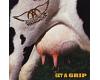 Aerosmith - Get A Grip (cd)