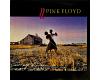 Pink Floyd - A Collection Of Great Dance Songs (vinyl)
