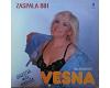 Vesna Milovanović - Zaspala bih (vinyl)