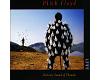 Pink Floyd - Delicate Sound Of Thunder (cd)