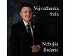 Nebojša Brdarić - Vojvođanska Frula (cd)