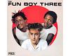 The Fun Boy Three - FB3 (vinyl)