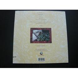 Lone Justice - Shelter (vinyl) 2
