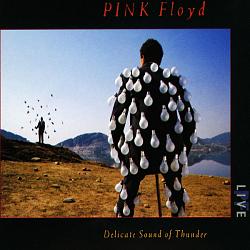 Pink Floyd - Delicate Sound Of Thunder (cd)