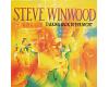 Steve Winwood - Talking Back To The Night (vinyl)